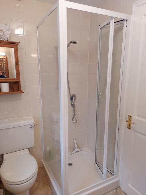 Cheerful, Cosy, One Bedroom Home With Patio And Parking Νιούμπερι Εξωτερικό φωτογραφία